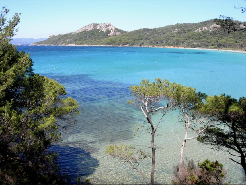 Superbe T2 Proche Des Plages Et Des Commerces Hyères المظهر الخارجي الصورة